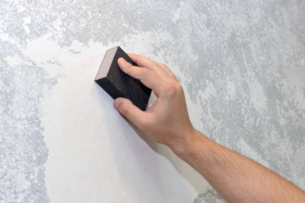 Best Mold Remediation for Healthcare Facilities  in Plum, PA
