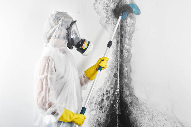 Best Airborne Mold Testing  in Plum, PA