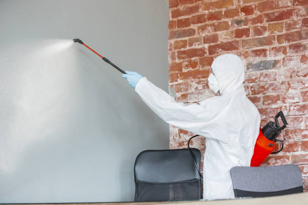Trusted Plum, PA Mold Removal Experts