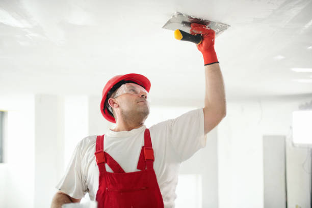 Best Forensic Mold Investigation  in Plum, PA