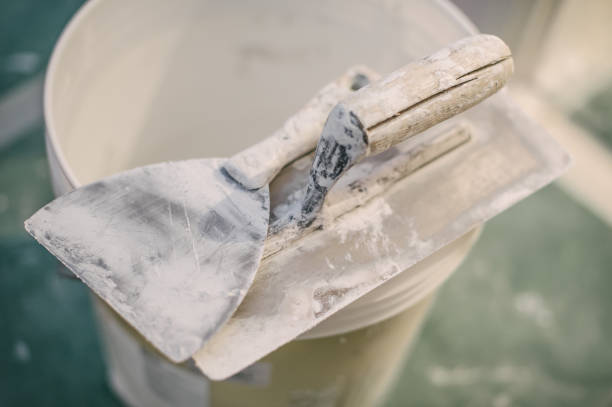 Best Mold-Related Health Consultation  in Plum, PA